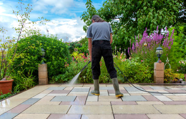 Best Sidewalk and Walkway Cleaning  in Vega, TX