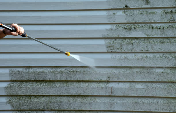 Best Roof Washing  in Vega, TX